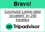 Curuhuinsi jungle tours are rated excellent by Trip Advisor