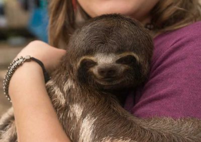 Amazon jungle tour highlight - hold a sloth