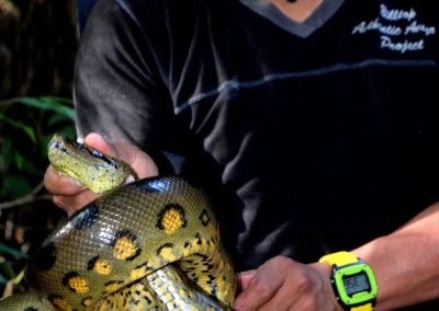 Jungle Survival Skills Tour - capture the mighty anaconda