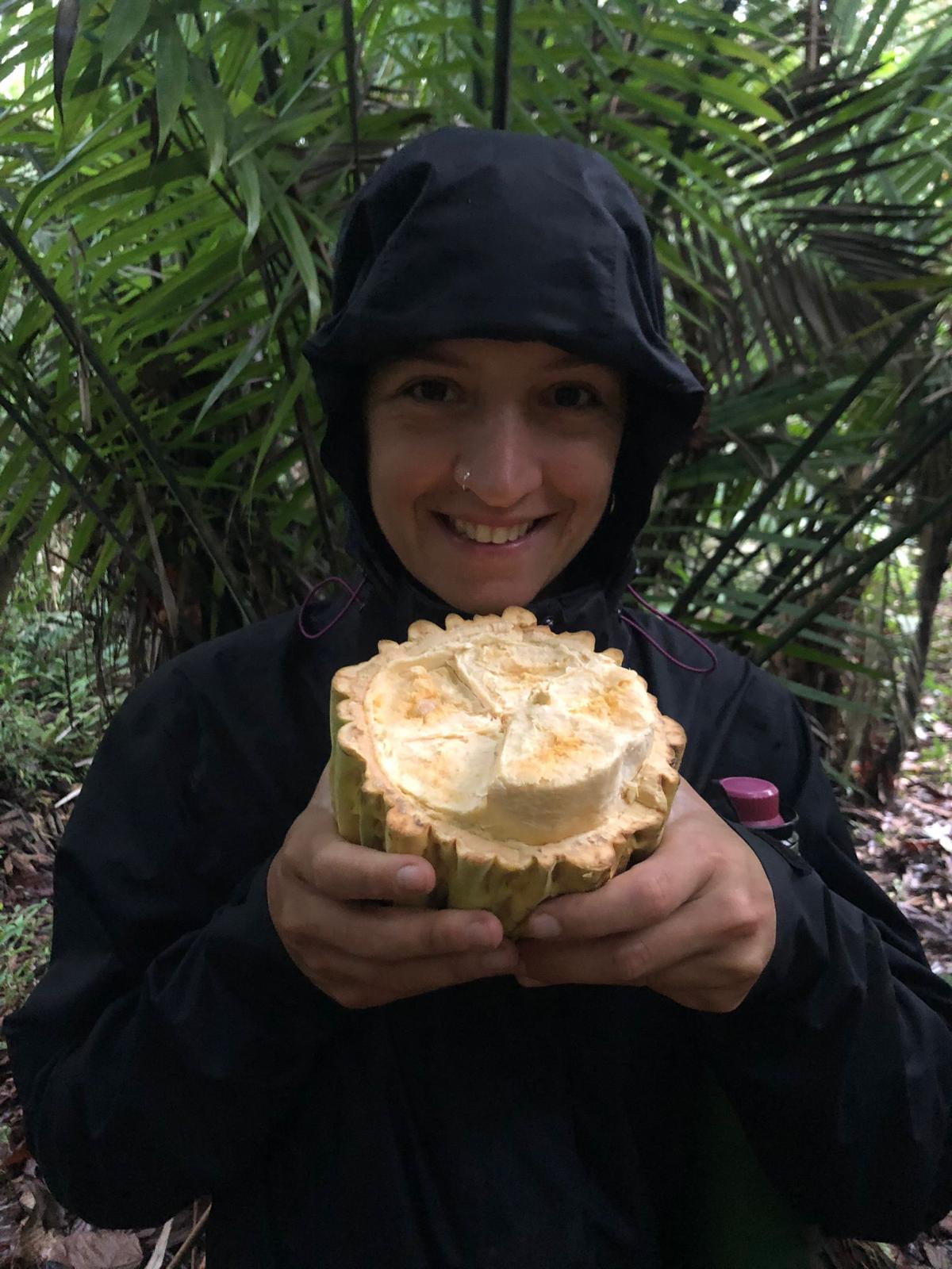 Survival skills tour - forage for food in the jungle