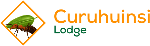 Curuhuinsi Lodge amazon jungle tours logo in Iquitos Peru